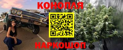 гидропоника Владивосток