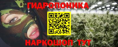 jwh Брянск