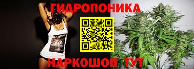 дмт Братск
