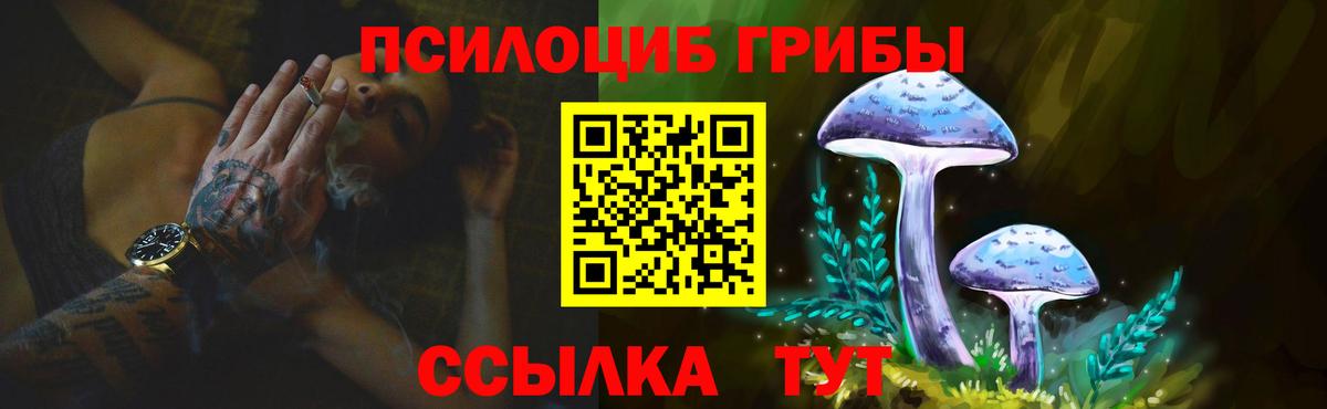 Ковров  Псилоцибиновые грибы Psilocybe  купить наркоту  Вход с VPN 